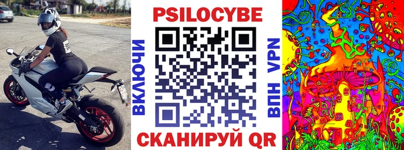 Псилоцибиновые грибы Psilocybine cubensis  Купить где  Рыльск 